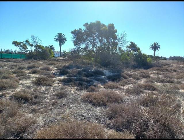 LAND FOR SALE IN SHELLEY POINT